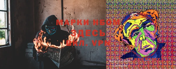 PSILOCYBIN Арсеньев