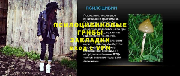 ешки Алексеевка