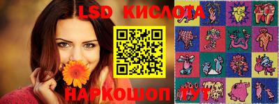 стаф Кандалакша