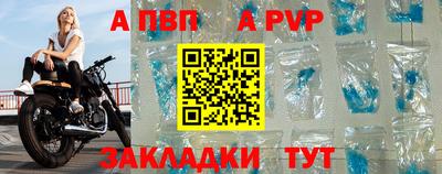 стаф Кандалакша