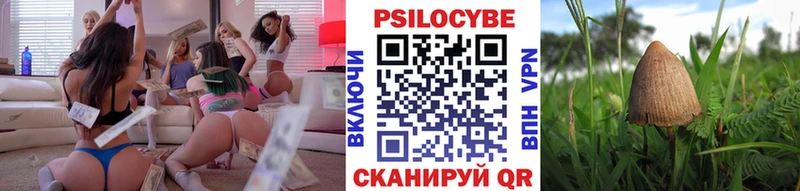 Псилоцибиновые грибы мицелий  Киреевск 