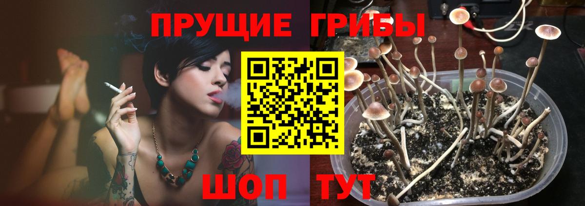 Галлюциногенные грибы мицелий  Вход с VPN  Киреевск  Галлюциногенные грибы прущие грибы 